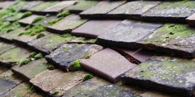 Upper Green roof repair costs
